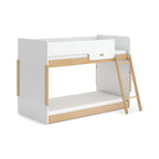 Neat Single BunkBed